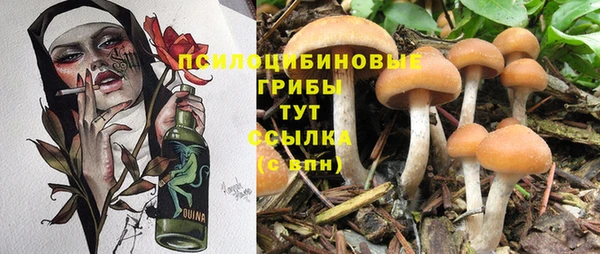 соль ск Балахна