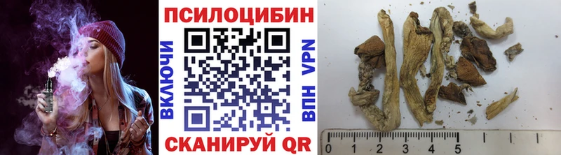 Галлюциногенные грибы мицелий  OMG как войти  Сибай  дарнет шоп 
